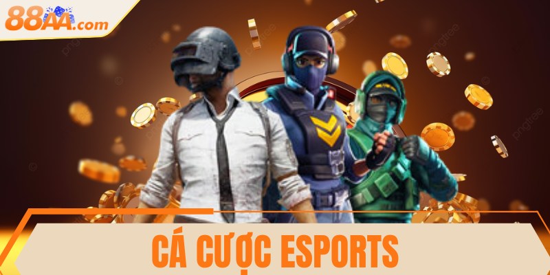Cá cược Esports - Đỉnh cao giải trí trong thời đại mới 1 Cá cược Esports - Đỉnh cao giải trí trong thời đại mới