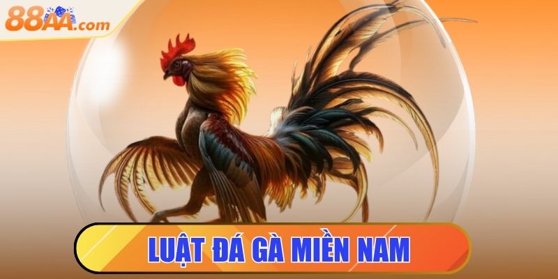Luật Đá Gà Miền Nam - Những Điều Anh Em Sư Kê Cần Biết 1 luật đá gà miền nam