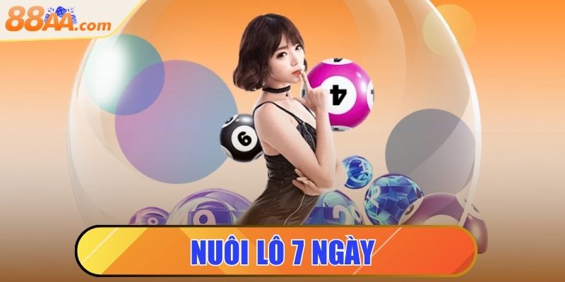 Nuôi Lô 7 Ngày - Chinh Phục Giải Độc Đắc Hấp Dẫn Mỗi Ngày 3 nuôi lô 7 ngày